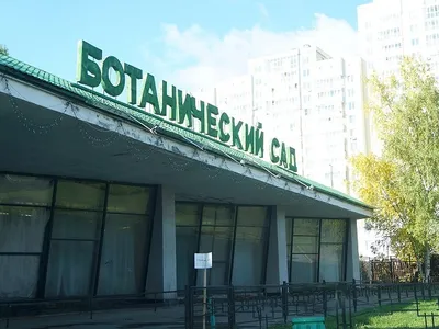 В Ботаническом саду Екатеринбурга начался сезон цветения. Фоторепортаж |  Пикабу