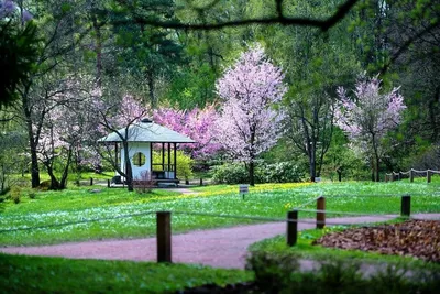 Королевский Ботанический Сад, Перадения: лучшие советы перед посещением -  Tripadvisor