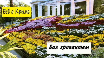 Никитский ботанический сад в Крыму - описание и фото