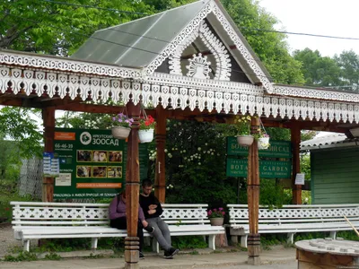 Неделя любования сакурой в Ботаническом саду | Фоторепортажи | Афиша  Иркутска на IRK.ru