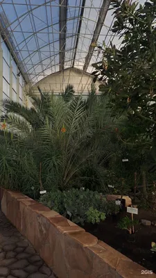 Ботанический сад КемГУ, парк культуры и отдыха, просп. В.В. Михайлова, 11А,  жилой район Лесная Поляна, Кемерово — Яндекс Карты