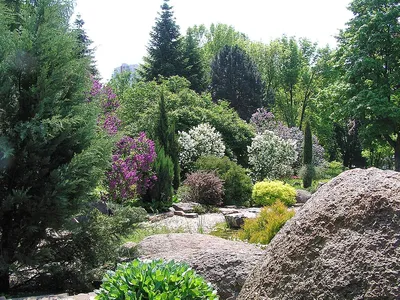Ботанический сад харьков фото фото