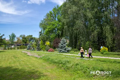 Архив р-н Шевченковский, метро Ботанический сад, ул. Отакара Яроша 18 Д: 25  380 грн. - Торговые помещения Харьков на BON.ua 101264990