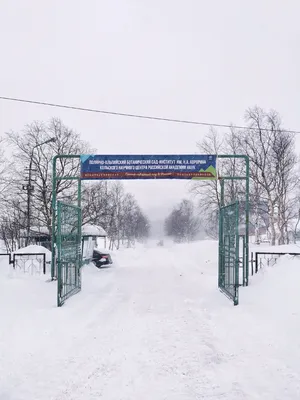 Полярно-альпийский ботанический сад-институт | Khibinogorsk