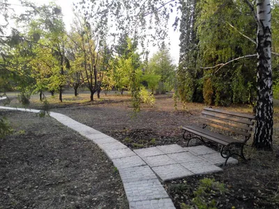 Стало известно об изменениях в графике работы ботанического сада в Кривом  Роге | KRIVBASS.CITY