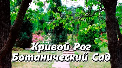 Файл:Криворізький ботанічний сад НАНУ - оранжерея, суккуленти.JPG —  Вікіпедія