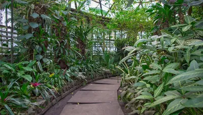 Botanical Garden, Kryvyi Rih