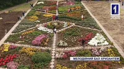 Наращивание ресниц Кривой... - Наращивание ресниц Кривой рог | Facebook