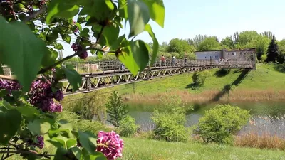 Криворожан приглашают в ботанический сад | Первый Криворожский