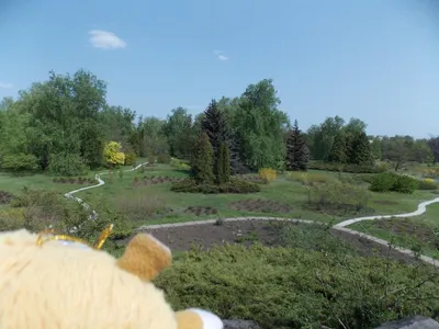 Криворожский ботанический сад Кривой Рог | Apartila