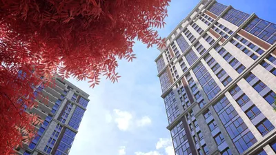 Купить квартиру в новостройке ЖК Life Ботанический сад 2 в Москве | 🥇  GEOLN.COM