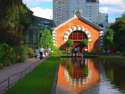hortus_ru — LiveJournal