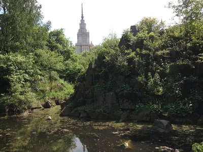 Дорогие... - Ботанический сад МГУ имени М.В. Ломоносова | Facebook