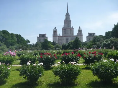 КАТАСТРОФА,... - Ботанический сад МГУ «Аптекарский огород» | Facebook