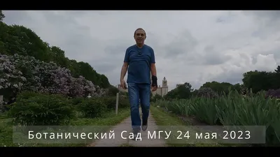 Ботанический сад МГУ «Аптекарский огород» - HomeWorks.ru