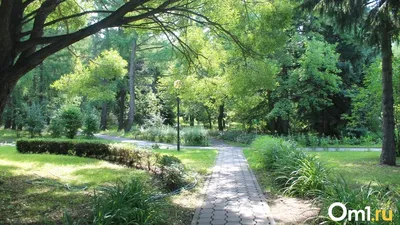 Вход в Ботанический сад сделали платным в Новосибирске - Новости  Новосибирска - om1.ru