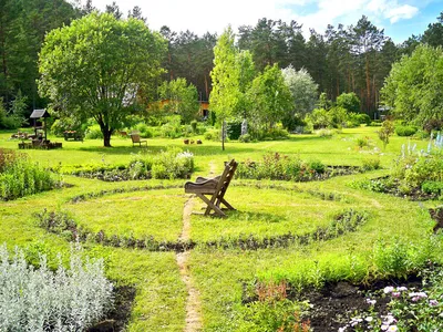 Ботанический сад (Новосибирск): фото и отзывы — НГС.ТУРИЗМ