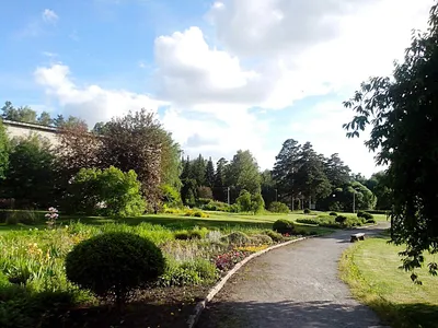 Файл:Ивы. Ботанический Сад Новосибирского Академгородка.JPG — Википедия