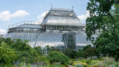 Ботанический сад Санкт-Петербурга