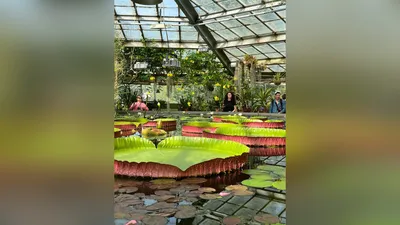 Ботанический сад Петра Великого в Санкт-Петербурге