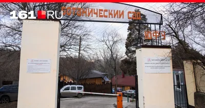 Вопросы комфортной городской среды: фестиваль ландшафтного искусства в  Ростове | ROSTOF.RU