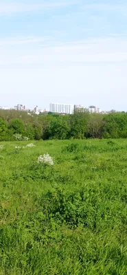 Ботанический сад ЮФУ