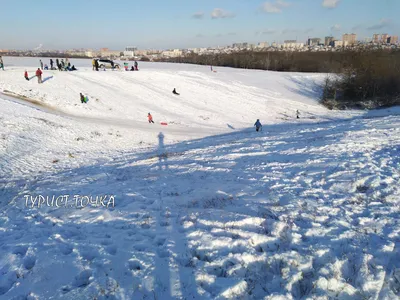 Ботанический сад, ЮФУ, переулок Ботанический Спуск, 7, Ростов-на-Дону — 2ГИС