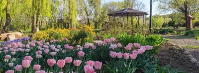 Родник — банный комплекс | DonSauna.ru