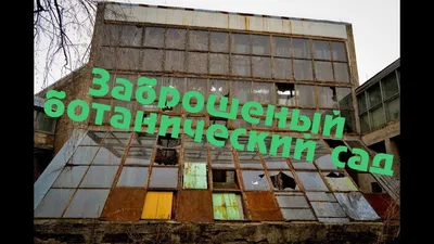Для детей из Донбасса провели экскурсию в ботаническом саду Ростова -  DONTR.RU