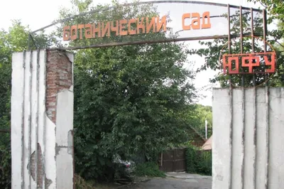 Ботанический сад ЮФУ | Пикабу