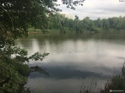 Ботанический сад в Кембридже- городской парк и центр исследований