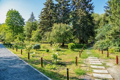 Ботанический сад самара фото фотографии