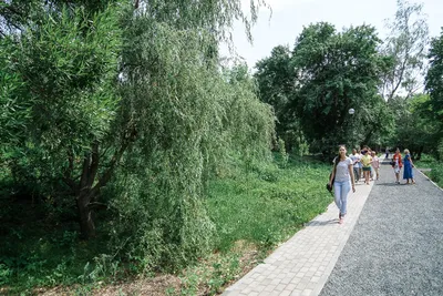 В Самаре открылся Ботанический сад – Коммерсантъ Самара