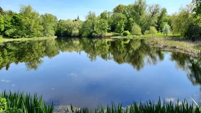 Ботанический сад в Самаре – режим работы, сайт, цена, фото, адрес, как  доехать, отзывы | Туристер.Ру