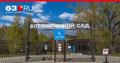 komunavolge.ru: Оранжерея, столетние ели и тропики. Ботанический сад в  Самаре - Самарский университет
