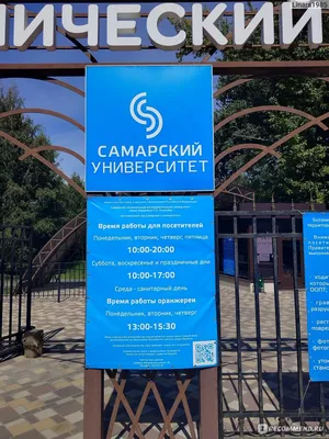 В Ботаническом саду выложили тропинку из переработанного пластика -  Самарский университет