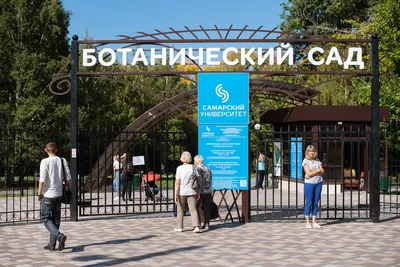 Сирингарий и сад камней: в Самаре планируют обновить Ботанический сад