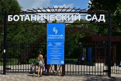 Ботанический сад | Пикабу