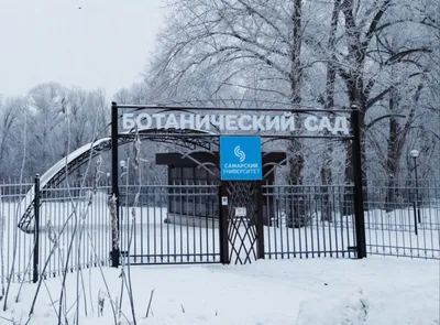 №43 🌏Блог непритязательного туриста (ч.3 - САМАРА. Ах, Самара-городок, ботанический  сад.) | ProЯЖ | ПРОвинциальный воЯЖ | Дзен