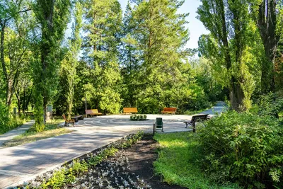 Самарский ботанический сад
