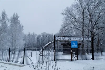 Самара 2023: Ботанический сад — Сообщество «Фотография» на DRIVE2
