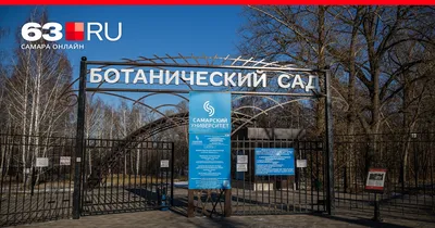 №61 🌏Блог непритязательного туриста (ч.6 г.САМАРА - Ботанический сад.  Оранжерея.) | ProЯЖ | ПРОвинциальный воЯЖ | Дзен