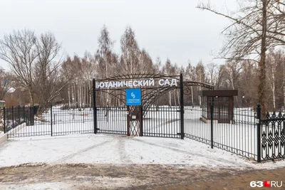 В Самаре откроется Ботанический сад - 1 марта 2023 - 63.ru