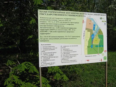 Природные памятники России/Самарская область/Самара — Путеводитель Викигид  Wikivoyage
