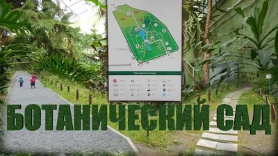 БОТАНИЧЕСКИЙ САД САМАРСКОГО УНИВЕРСИТЕТА /САМАРА/ ОКТЯБРЬСКИЙ РАЙОН/  ЛЕСОПАРК/ - YouTube