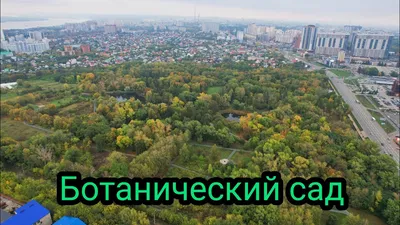 Пять главных мест Ботанического сада Самарского университета, где проходит  фестиваль NAUKA 0+ | Sobaka.ru