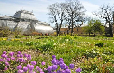 Ботанический сад в Санкт-Петербурге - triptospb