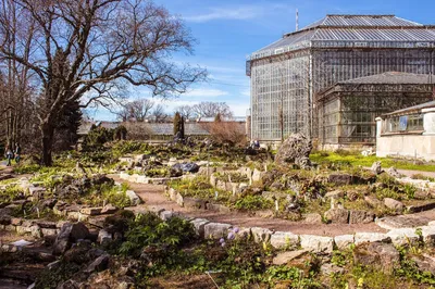 Ботанический Сад Петра Великого. Санкт-Петербург. Peter the Great Botanical  Garden. May 2021. - YouTube