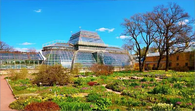 Ботанический Cад Санкт-Петербурга (Санкт-Петербург, Россия) - авторский  обзор, часы работы, цены, фото | Коллекция Кидпассаж