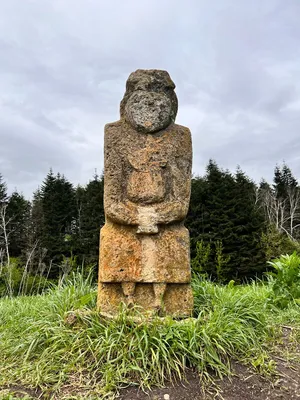 File:Ботанический сад им. СКРИПЧИНСКОГО г. Ставрополь 09.jpg - Wikimedia  Commons